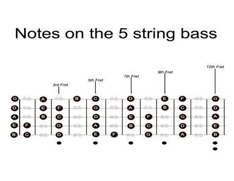 Memorizing The Fretboard Bassbuzz Forum