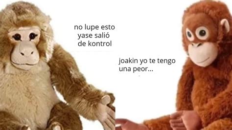 Los Mejores Memes De Lupe Y Joak N Para Entrarle Al Descontrol Total