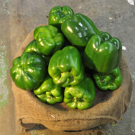Fresh Capsicum Farmers Market Kenya