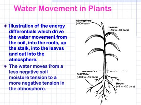 Ppt Soil Water Tension Powerpoint Presentation Free Download Id