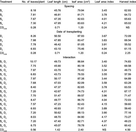 Effect Of Different Spacing And Planting Time On Growth Of Onion