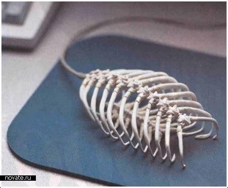 Компьютерный грызун. Обзор необычных компьютерных мышек