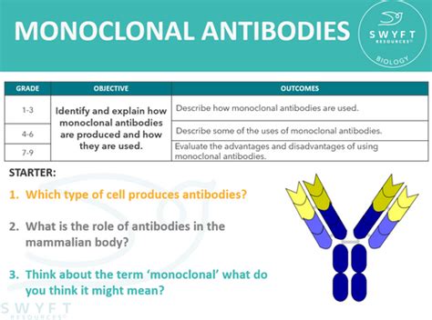 MONOCLONAL ANTIBODIES - INFECTION & RESPONSE | Swyft resources