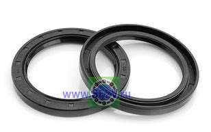 Где выгодно купить сальник с доставкой день в день