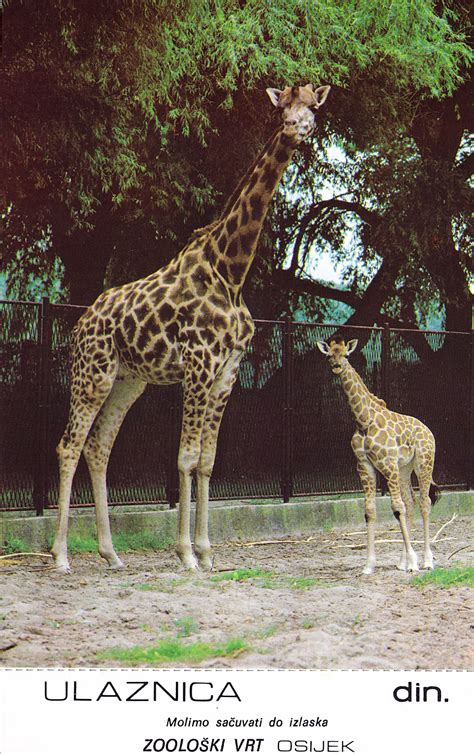 Upoznajte nas | Zoo vrt Osijek