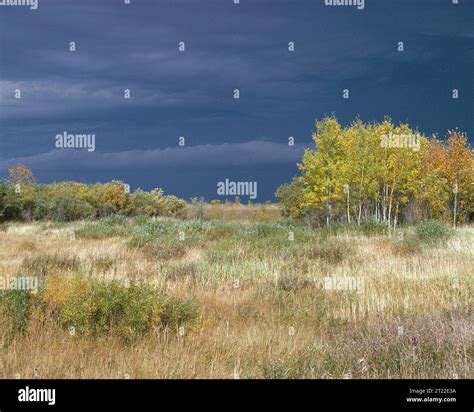 Prehistoric Refuges Hi Res Stock Photography And Images Alamy