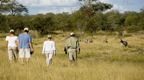 &Beyond Ngala Safari Lodge - African Inspired Safaris