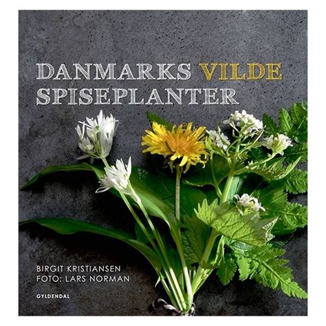 Danmarks vilde spiseplanter – guide til spiselige planter