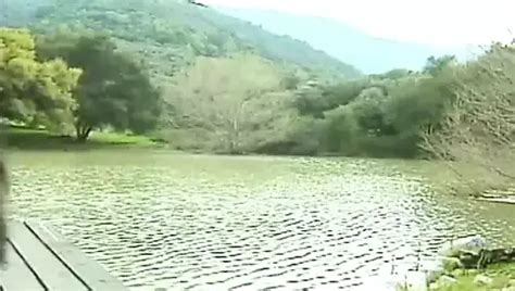 Retro Usa 451 90s Eating Pussy Eating Pussy Porn Feat Cherry Lane XHamster