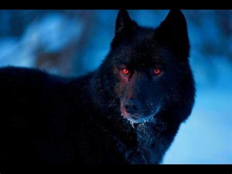 Byronic Sex Exile Baskerville Official Audio YouTube