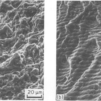 SEM photographs of fracture surfaces of (a) equiaxed and (b) lamellar ...