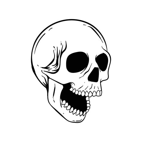 Hand Drawn Skull Doodle Illustration For Tattoo Stickers Etc Premium