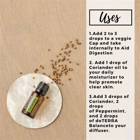 coriander coriander essential oil coriander essential oil doterra