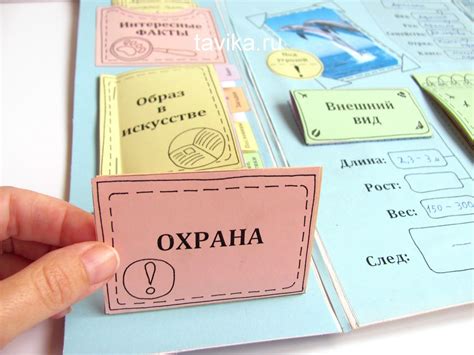 Лэпбук о животном - делаем мини-энциклопедию о звере сами! | Лэпбук ...