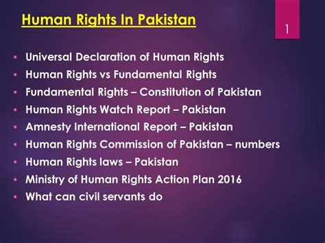 Human Rights Provision Of UN Charter Constitution Of Pakistan Abid