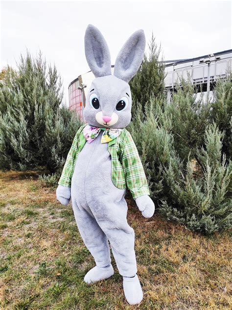 bunny costume men 8