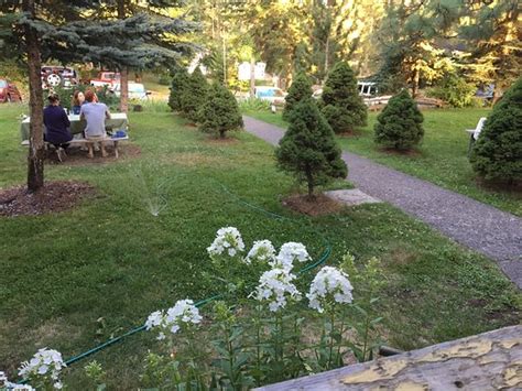 Trout Lake Photos Featured Images Of Trout Lake Wa Tripadvisor