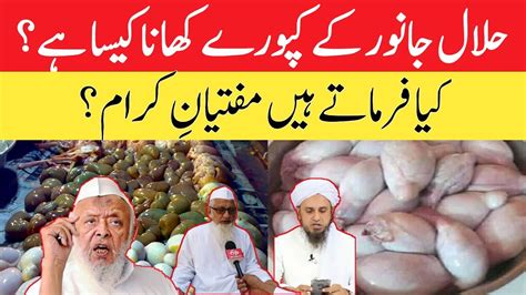 kapoore khana halal hai ya haram اسلام میں کپورے کھانا کیسا ہے YouTube