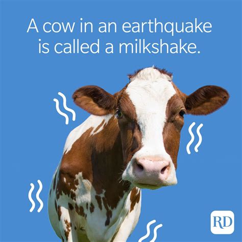 Farm Animal Pick Up Lines – kerlnollomo