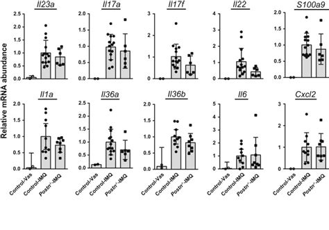 Periostin Expression Does Not Affect Imq Induced Skin Inflammation In