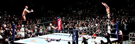 Hot Gifs Page WiffleGif