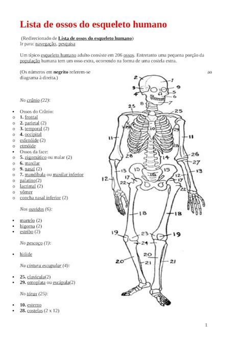 Doc Lista De Ossos Do Esqueleto Humano Documento Dokumen Tips