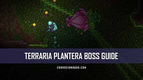 Terraria Plantera Boss Guide - Corrosion Hour