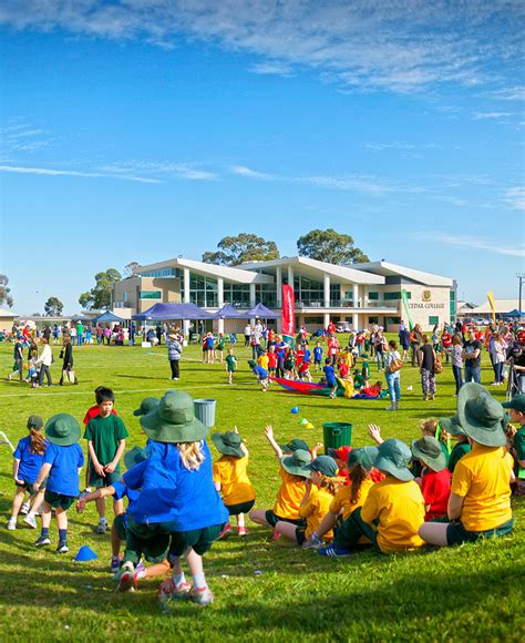 Junior Primary Sports Day Cedar College