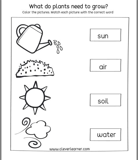 Science For 1st Grade Homeschool Lessons