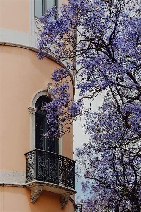 Hd Wallpaper Lisbon Portugal Street Europe Lisboa Architecture