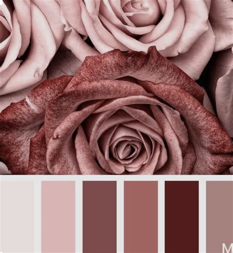 28 Ideias De Tons De Nude Em 2025 Paletas De Cores Neutras Paleta De