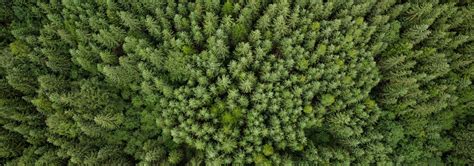 Sürdürülebilirlik - Mudo