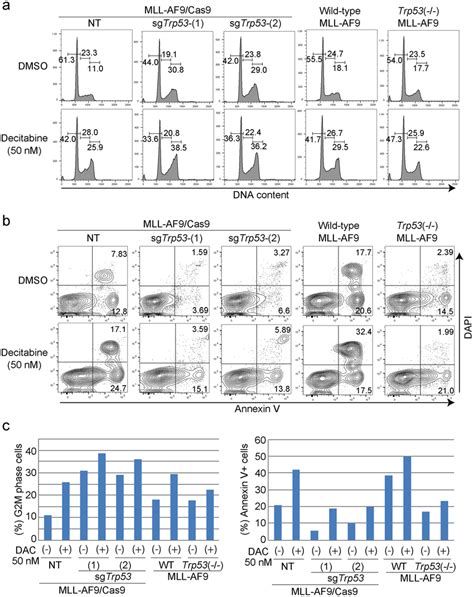 Effects of acute and chronic p53 depletion on cell cycle and apoptosis ... 