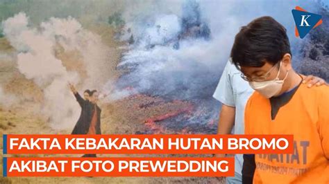 Video Manajer WO Jadi Tersangka Kebakaran Bromo Ini Fakta Flare