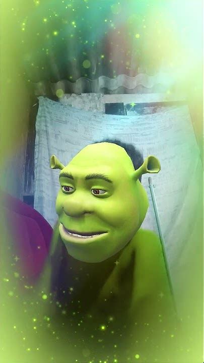 Shrek Sem Camisa - SHREK SEM SEM CAMISA VAI CASAR - YouTube