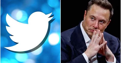 Elon Musk Presentó El Nuevo Logo De Twitter Y Estallaron Los Memes Voló El Pajarito Crónica