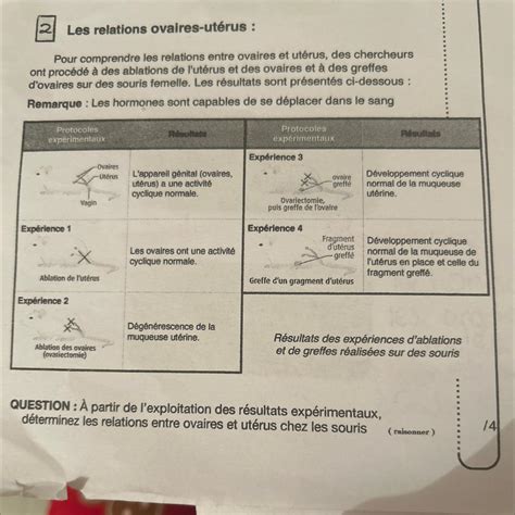 Bonjouuur Est Ce Que Vous Pourriez Maider Faire Cette Exercice De