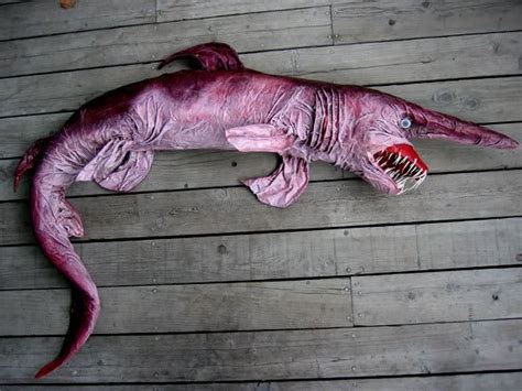 Fish Types: Goblin Shark