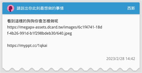 請說出你此刻最想做的事情 西斯板 Dcard