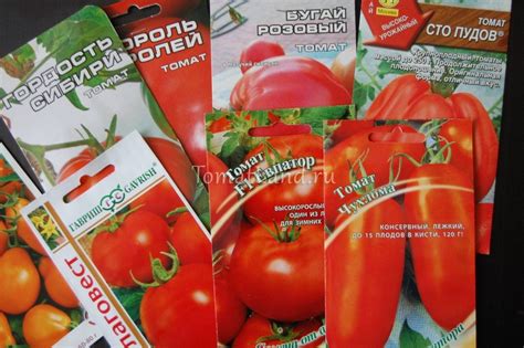 Семена томатов