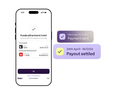 Instant Payouts | Brite Payments