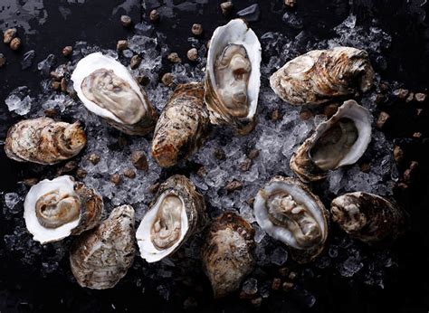 oyster island