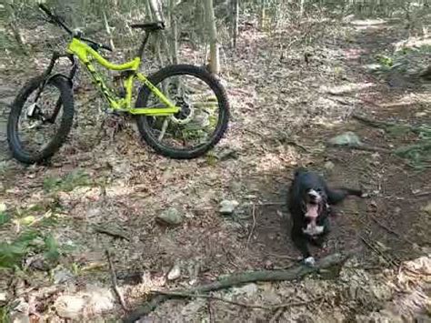 Maxie Is Hot YouTube