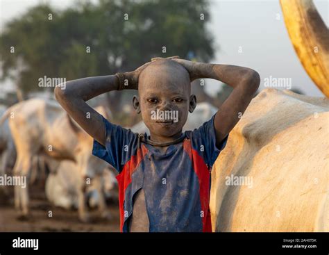 Tribu Mundari Boy Cubiertos De Ceniza Teniendo Cuidado De Vacas De