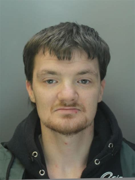 Wayne Collins Sex Offenders Database Uk