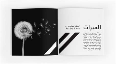 Arab Insurance On Behance