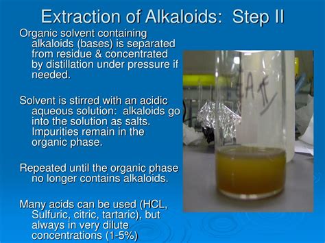 Ppt Alkaloids Powerpoint Presentation Free Download Id149540