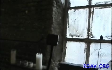 Pretty Perfection Deep Sex Toy Action