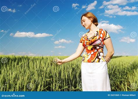 Girl In Cornfield Stock Image Image Of Cloudy Grass 2631065