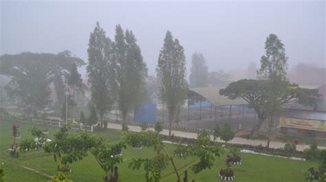 contoh gambar pemandangan gambar pemandangan pagi hari yg indah